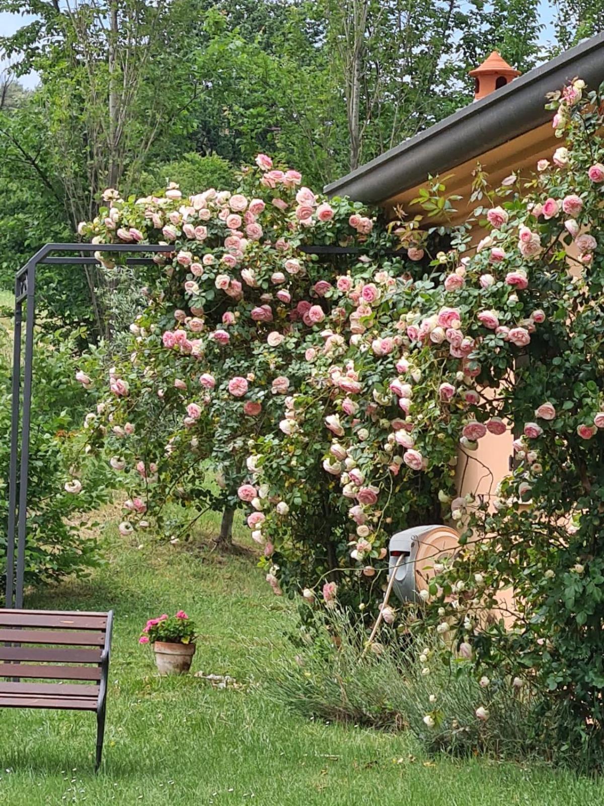 B&B Rosaverde Mulazzano Exterior foto